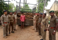 ଚୋରା ଶାଳକାଠ ବୋଝେଇ ମିନି ଟକ ଜବତ; ଚାଳକ ଗିରଫ