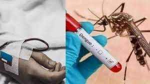 ରାଜଧାନୀବାସୀଙ୍କୁ ଡେଙ୍ଗୁ ଚିନ୍ତା